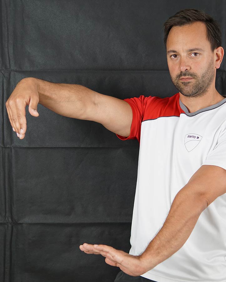 Sifu René Reinhardt Sifu René Reinhardt